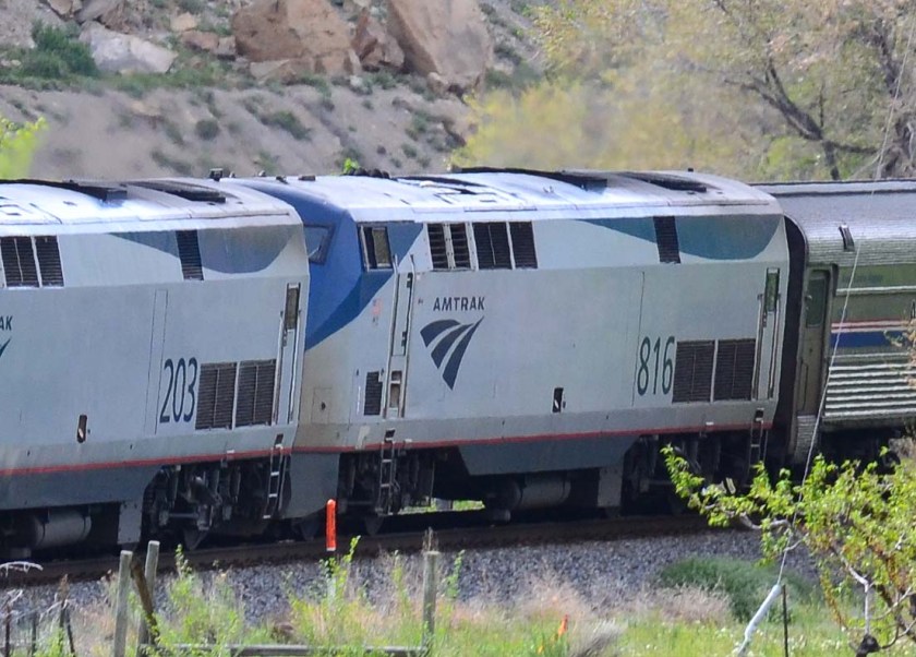 AMTK816-Palisade