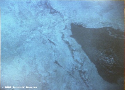 RGZ-19811107-15