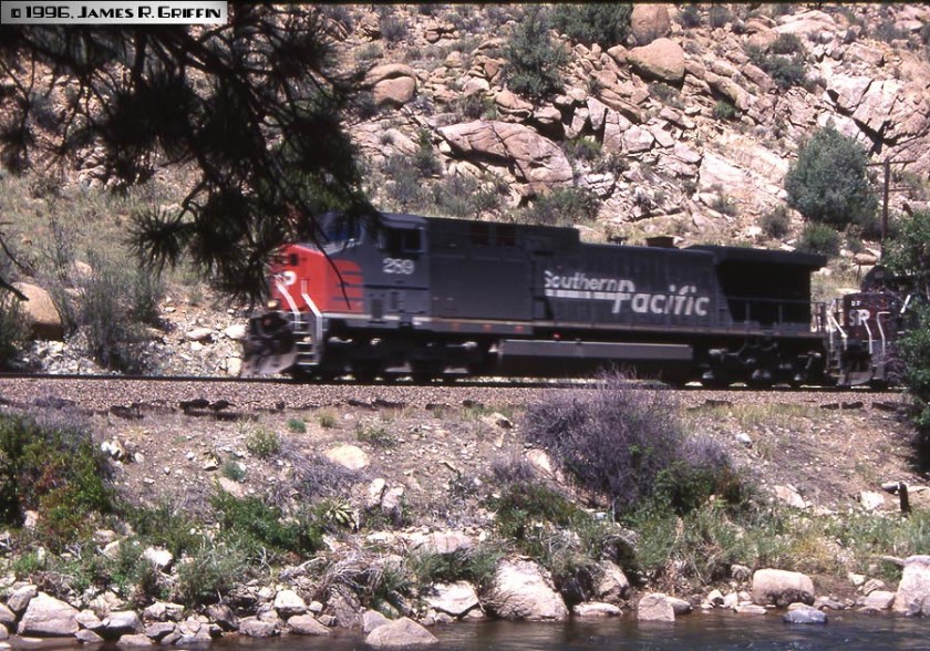 SP289-081796