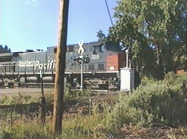 SP319