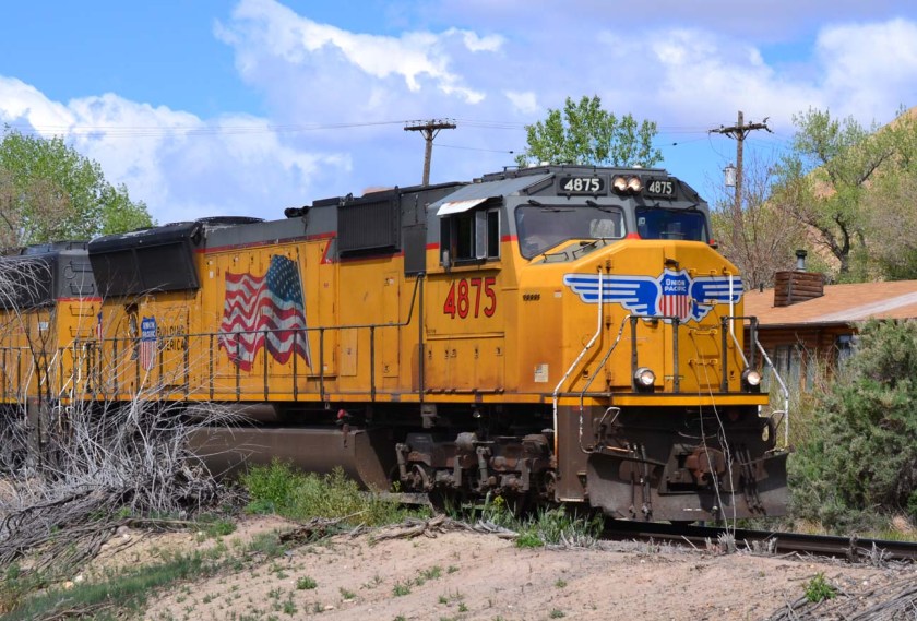 UP4875_Palisade