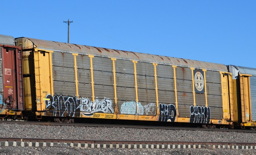 BNSF 300329
