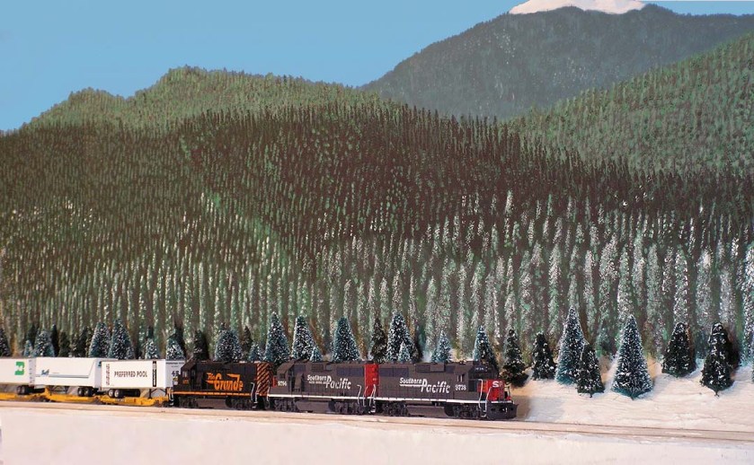 dvrot_winterpark