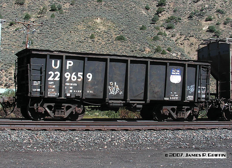 gn-up229659