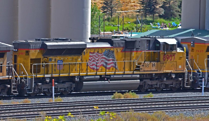 UP8907 2018