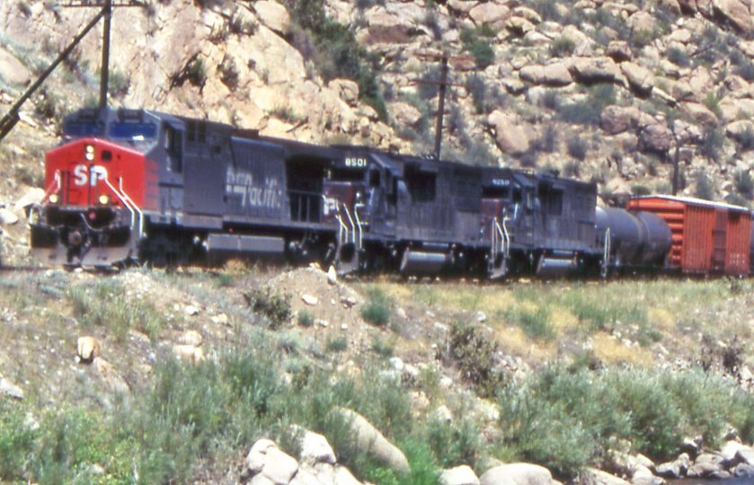 SP8501-19960817