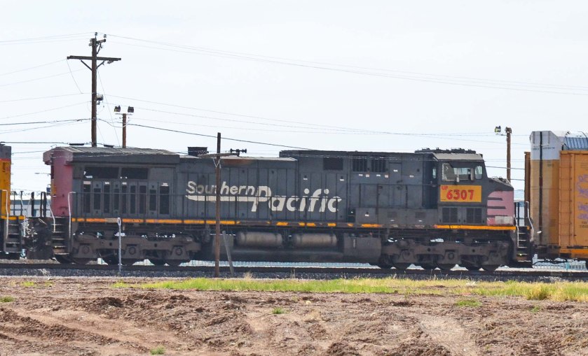 UP6307_neeSP262