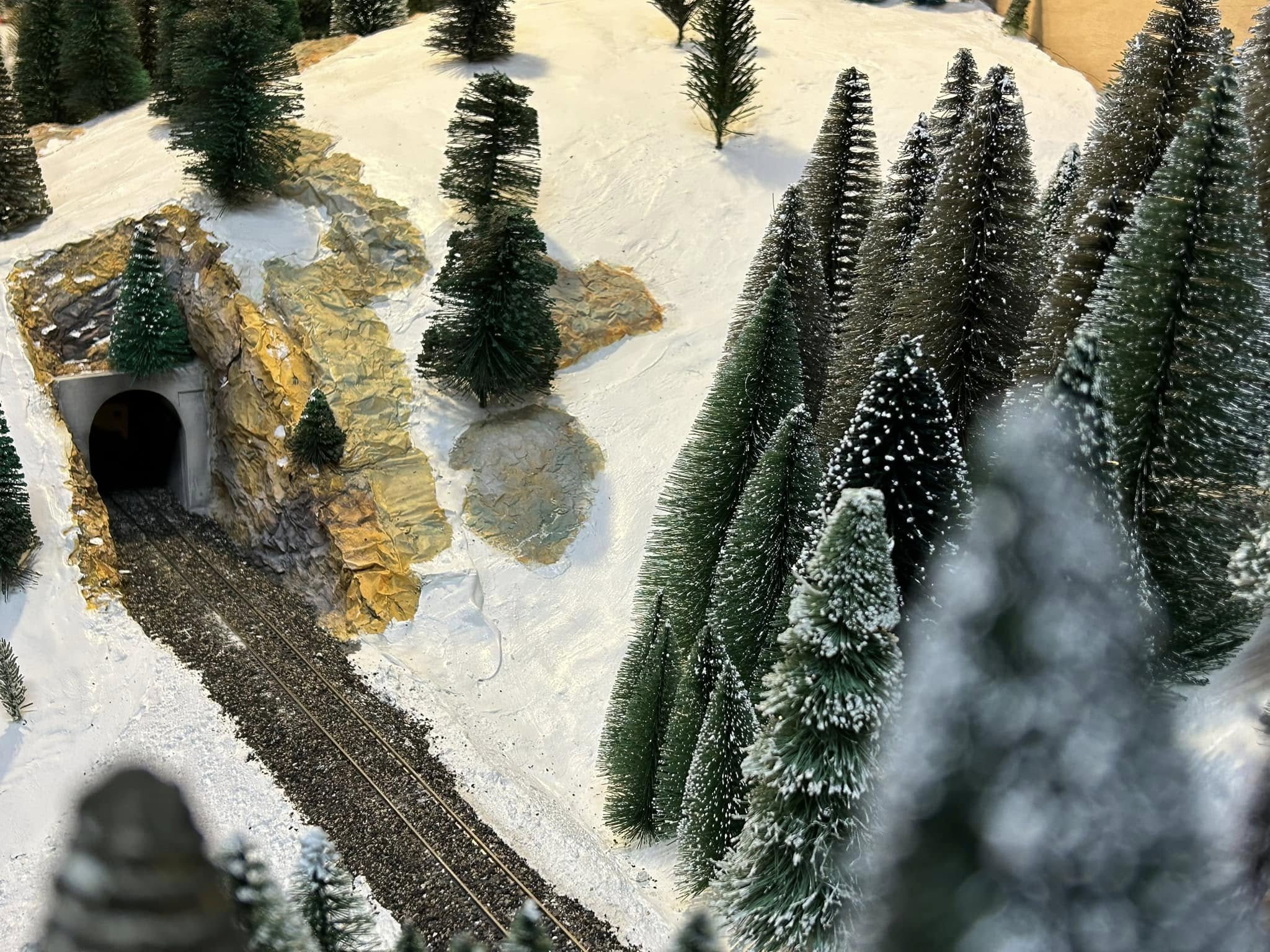 T14-WP